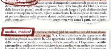 Dizionario Italiano 2022, Treccani promuove la parità di genere - Libri 